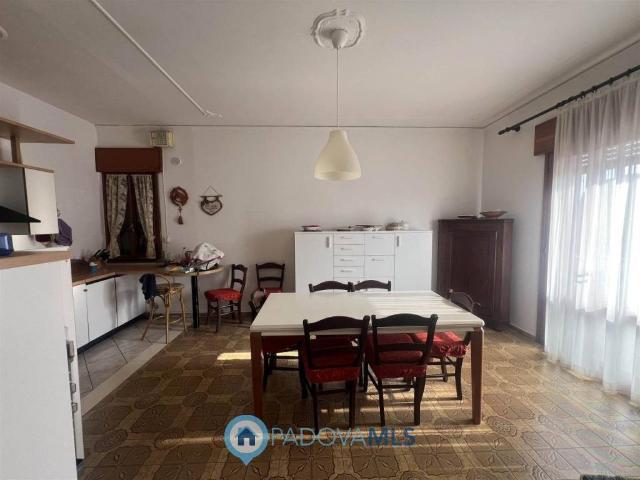 Villa in vendita a San Pietro Viminario PD