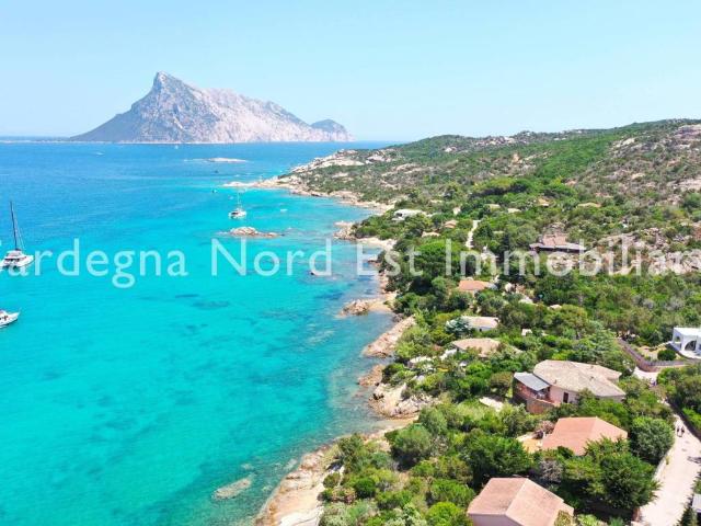 Villa in vendita a San Teodoro OT