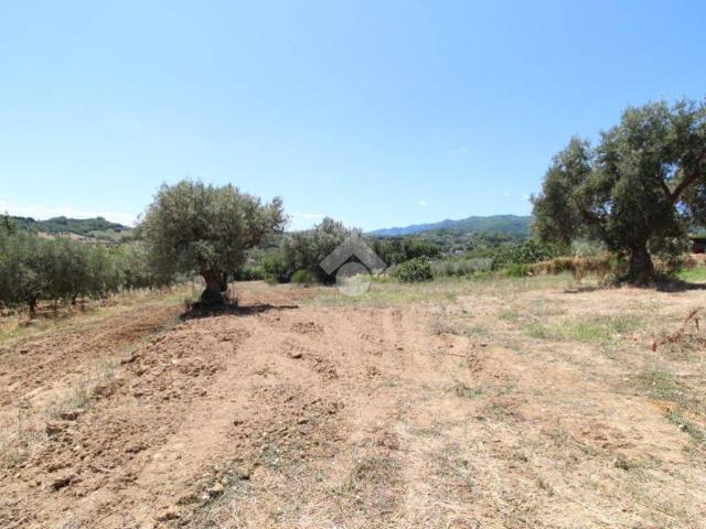Villa in vendita a San Vincenzo la Costa CS