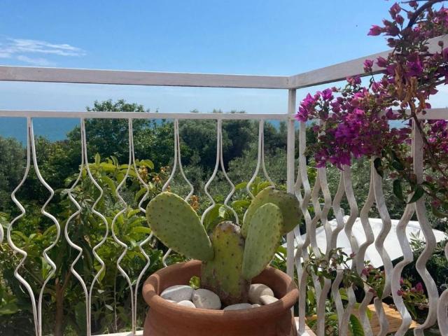 Villa in vendita a San Vito Chietino CH