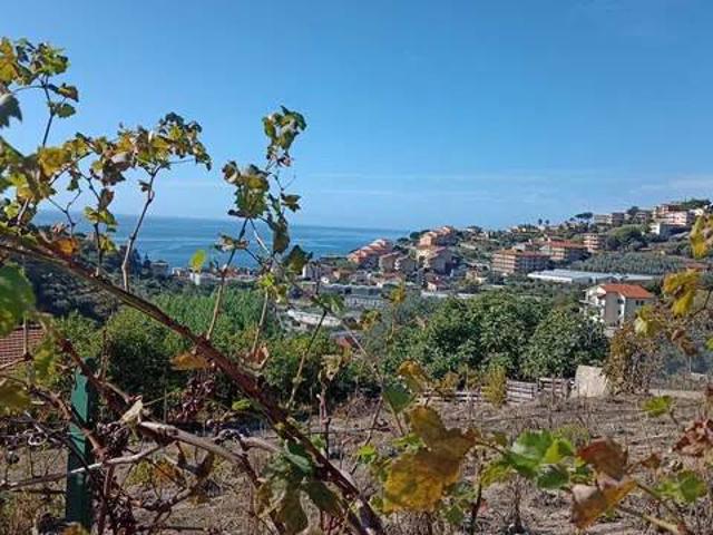 Villa in vendita a Santo Stefano al Mare IM
