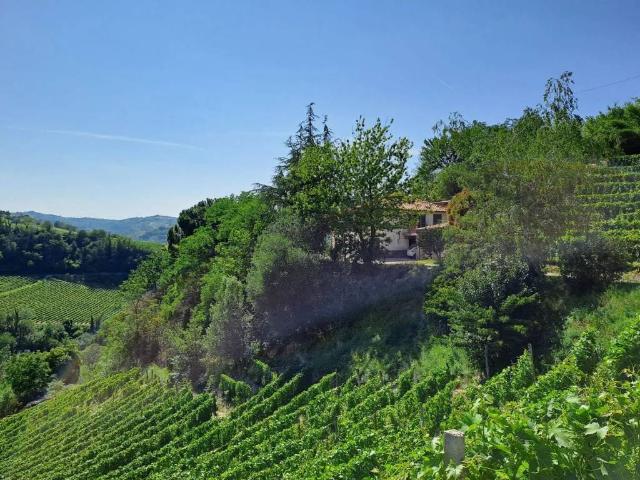 Villa in vendita a Santo Stefano Belbo CN