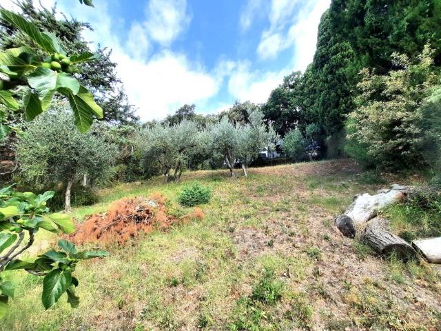 Villa in vendita a Santa Luce PI