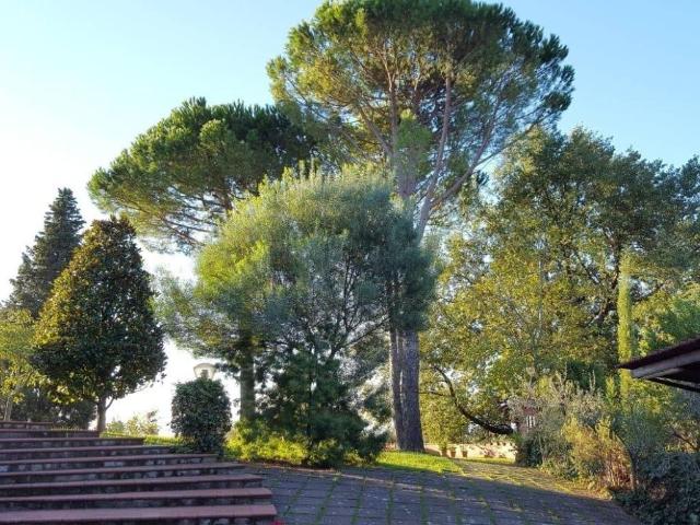 Villa in vendita a Santa Maria a Monte PI