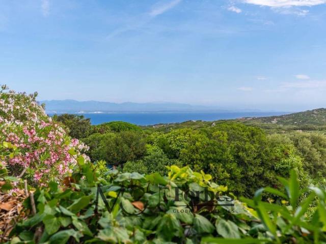 Villa in vendita a Santa Teresa Gallura OT