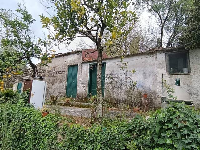 Villa in vendita a Santi Cosma e Damiano LT