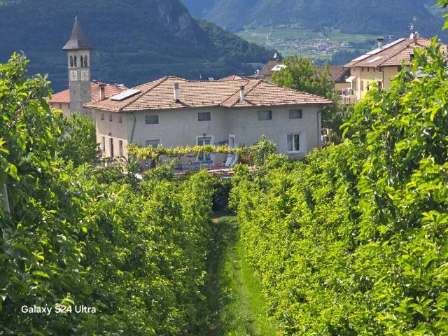 Villa in vendita a Sanzeno TN