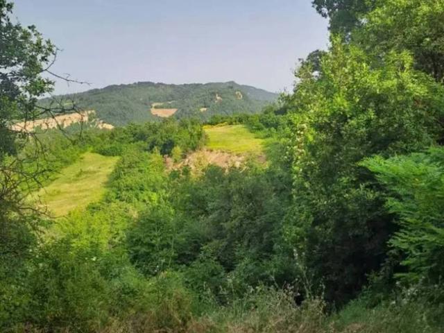 Villa in vendita a Sasso Marconi BO