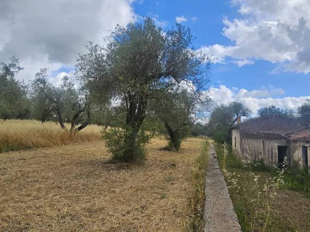 Villa in vendita a Sassari SS