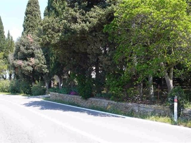 Villa in vendita a Scansano