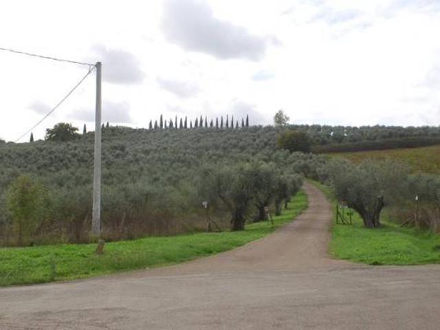 Villa in vendita a Scansano GR