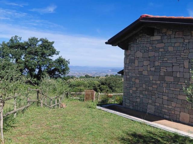 Villa in vendita a Scansano GR