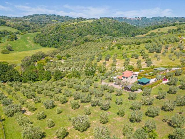 Villa in vendita a Scansano GR
