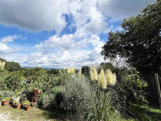 Villa in vendita a Scansano GR