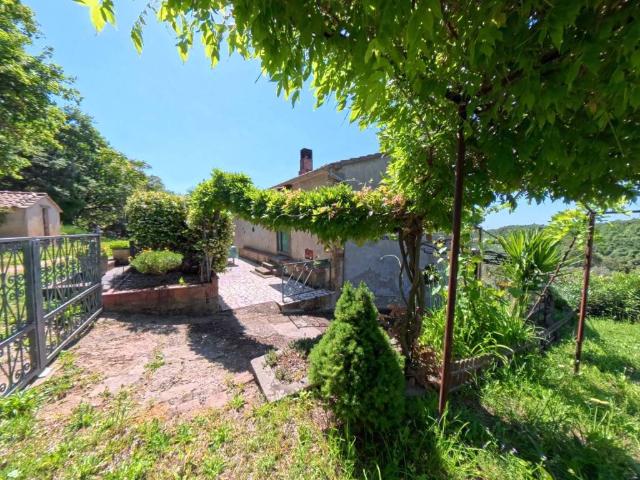 Villa in vendita a Scansano GR