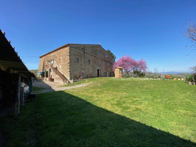 Villa in vendita a Scansano GR