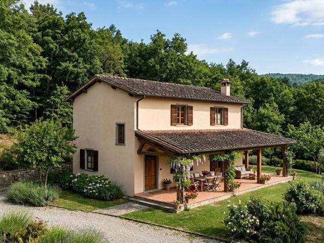 Villa in vendita a Scansano, Montorgiali