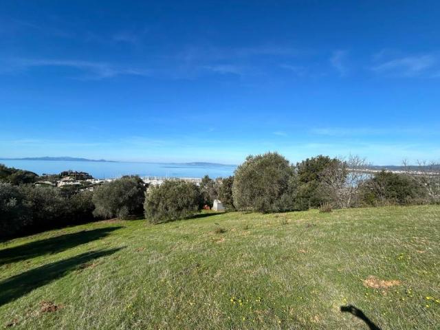 Villa in vendita a Scarlino GR