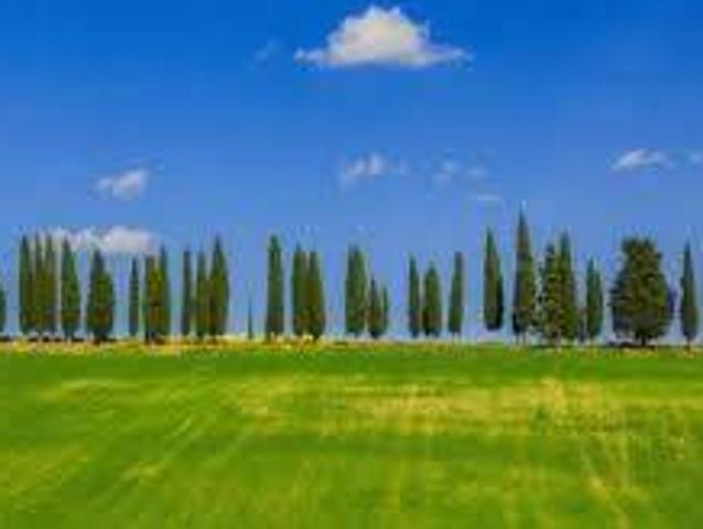 Villa in vendita a Scarperia e San Piero FI