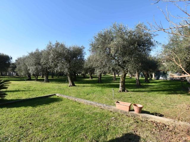 Villa in vendita a Seravezza LU