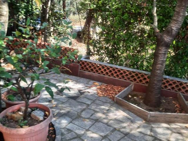 Villa in vendita a Seravezza LU