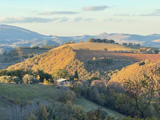 Villa in vendita a Serrapetrona