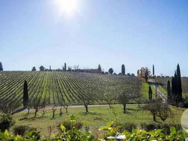 Villa in vendita a Siena SI