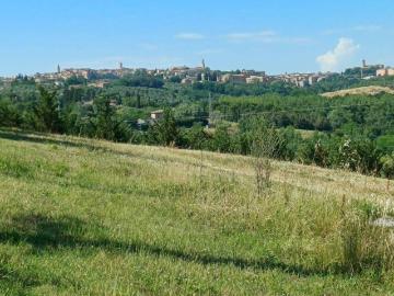 Villa in vendita a Siena SI