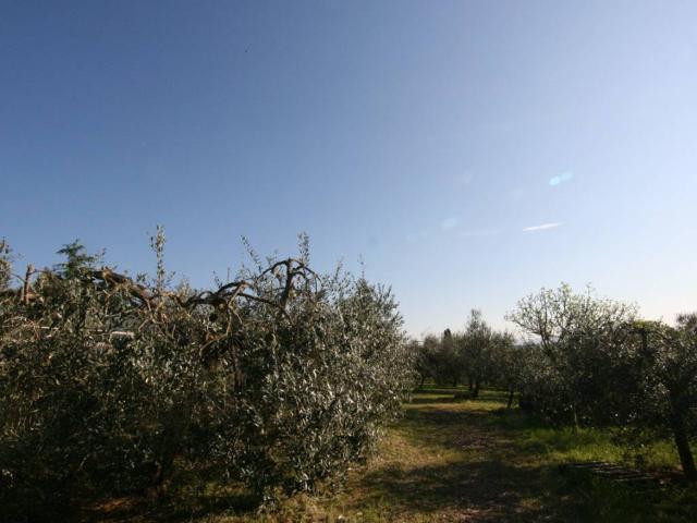 Villa in vendita a Sinalunga SI