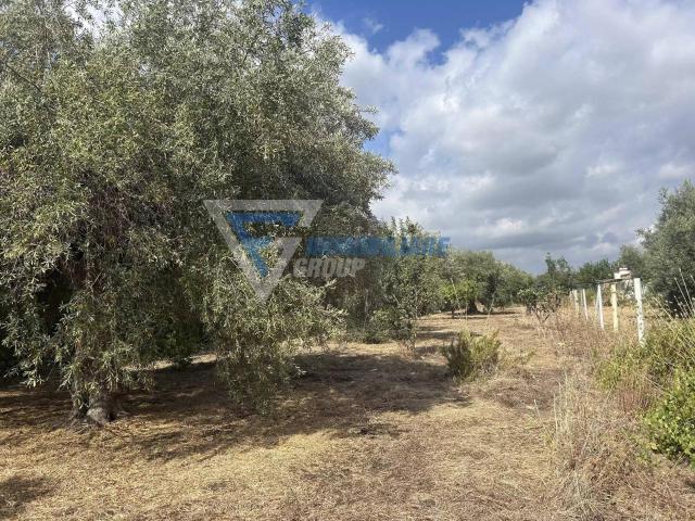 Villa in vendita a Siracusa