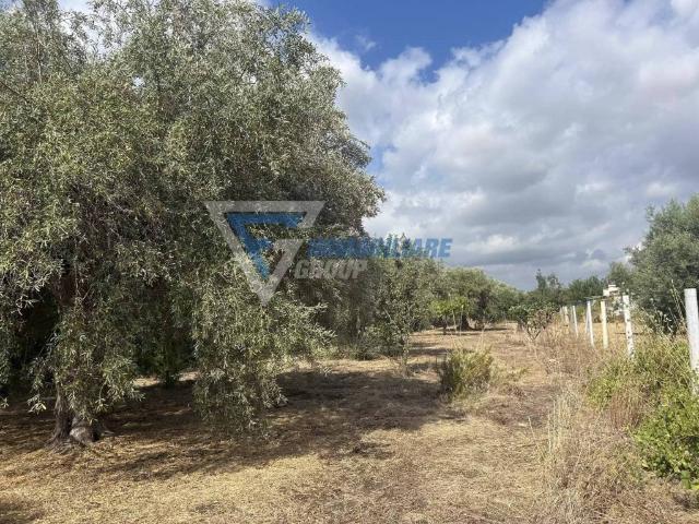 Villa in vendita a Siracusa SR