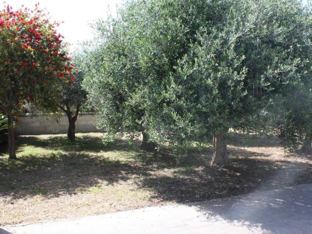 Villa in vendita a Siracusa SR