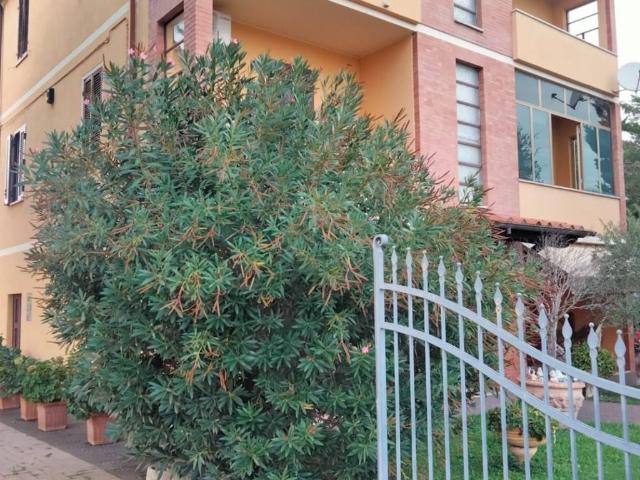Villa in vendita a Spello PG