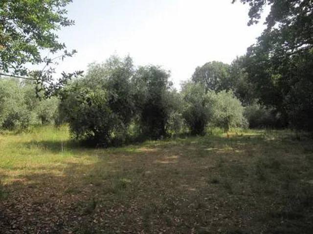 Villa in vendita a Spinetoli AP