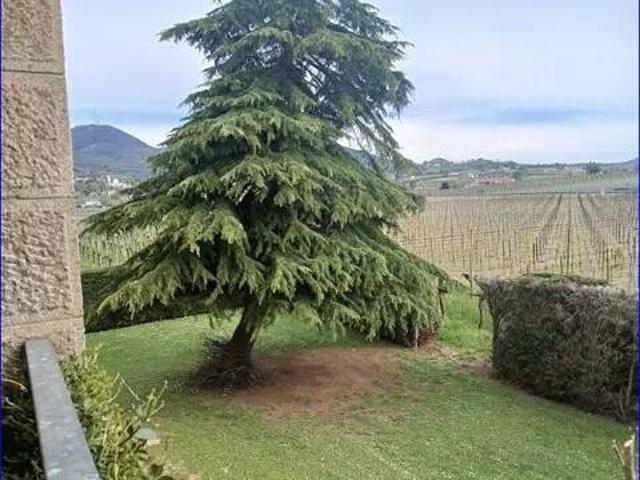 Villa in vendita a Spinea VE