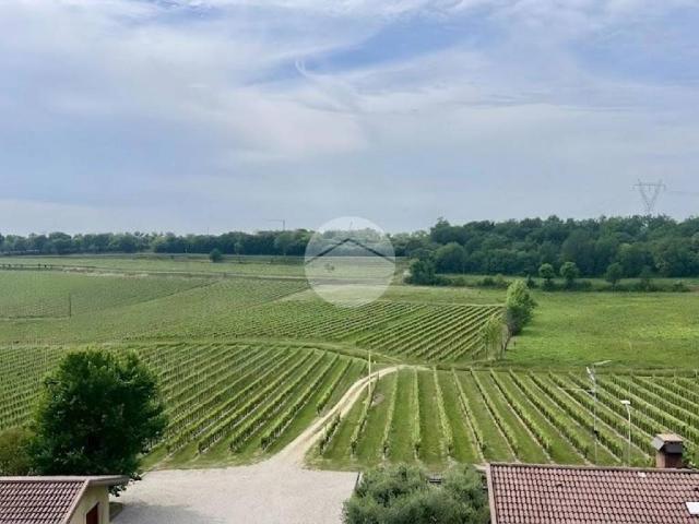 Villa in vendita a Pozzolengo BS