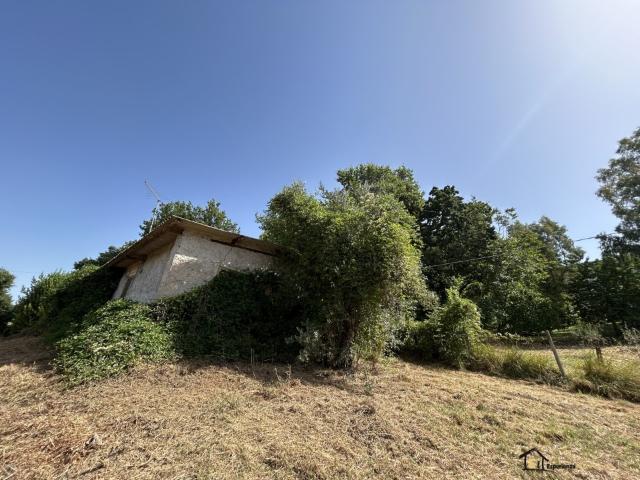 Villa in vendita a Poggio Catino