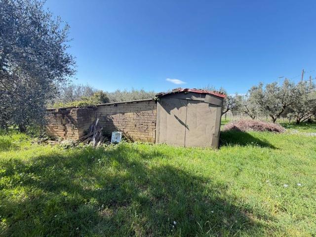 Villa in vendita a Pomezia RM