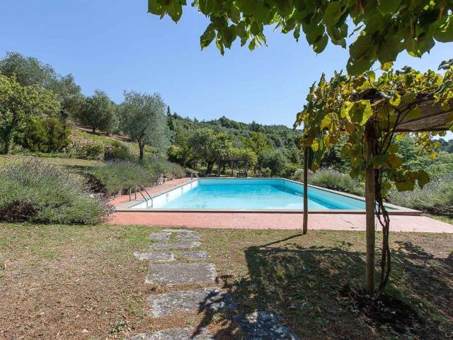 Villa in vendita a Pontassieve FI