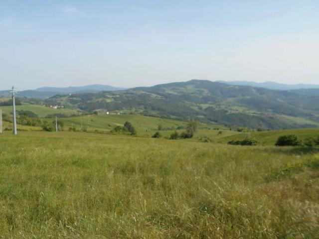 Villa in vendita a Ponte dell'Olio PC