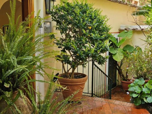 Villa in vendita a Positano SA