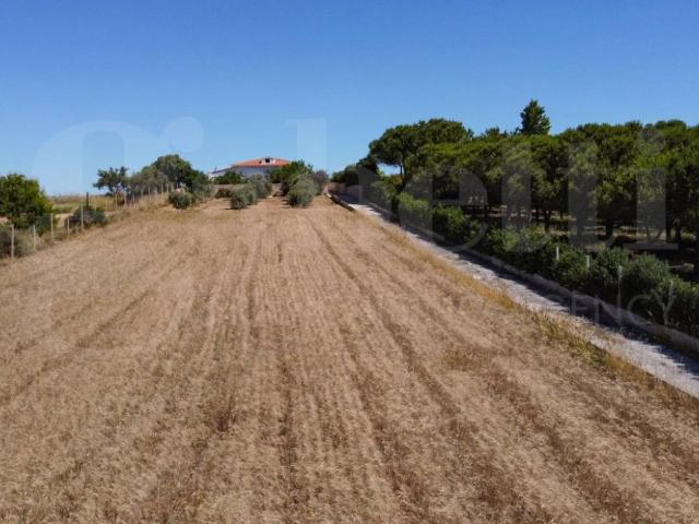 Villa in vendita a Pachino SR