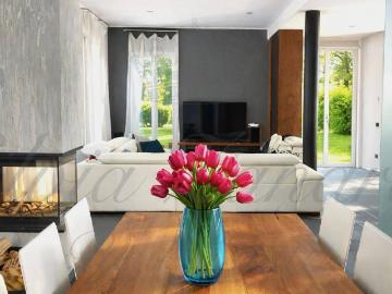 Piazza Accademia Delia, Centro Storico di Padua, Padova, Padova Veneto, Veneto