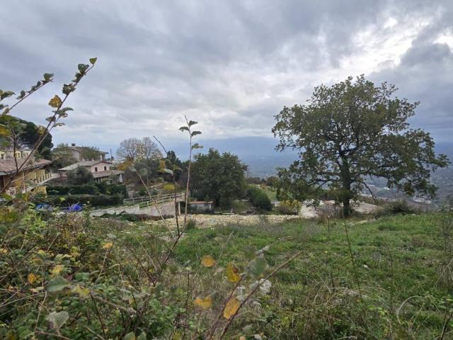 Villa in vendita a Palestrina RM