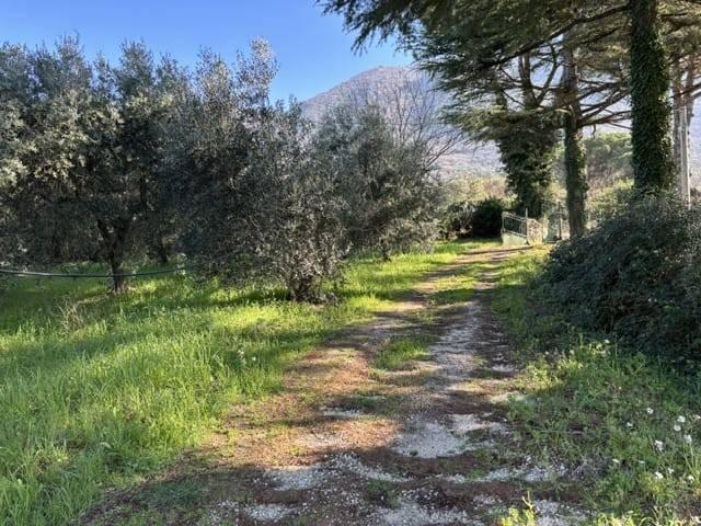 Villa in vendita a Palombara Sabina RM