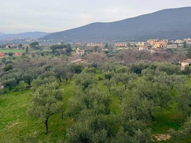 Villa in vendita a Palombara Sabina RM