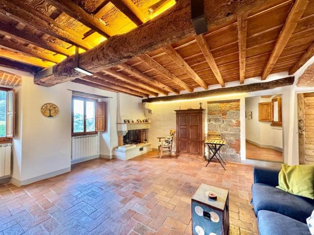 Villa in vendita a Pelago FI