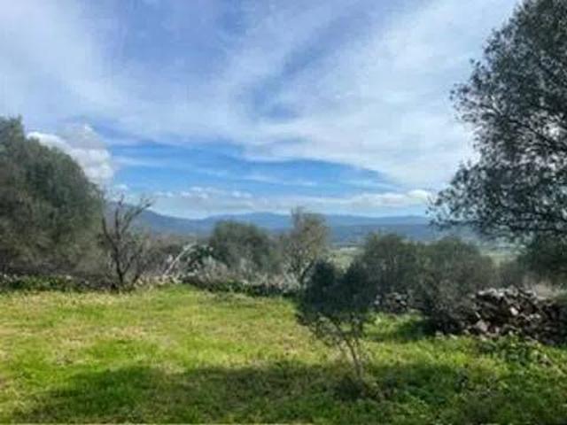 Villa in vendita a Perfugas SS
