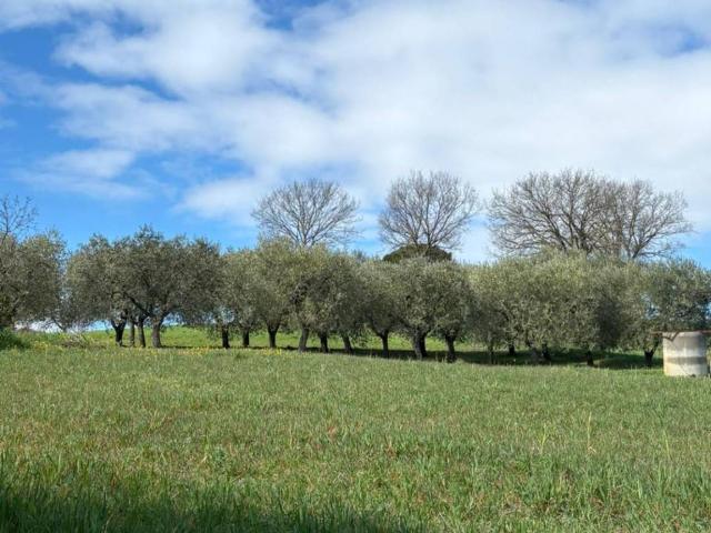 Villa in vendita a Pesco Sannita BN