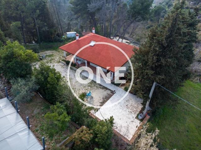 Villa in vendita a Pescara PE